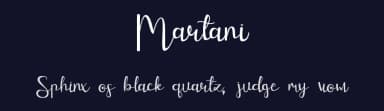 Martani by Hardiboy Design — Script Handwritten Font — thumbnail 2