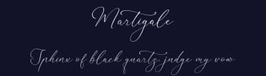 Martigale by Storytype Studio — Script Handwritten Font — thumbnail 2