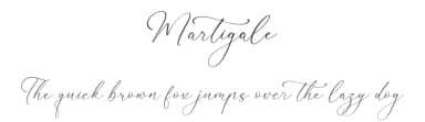 Martigale by Storytype Studio — Script Handwritten Font — thumbnail 1