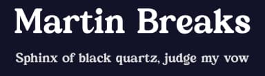 Martin Breaks by Letterena Studios — Serif Font — thumbnail 2