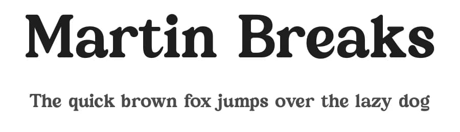 Martin Breaks by Letterena Studios — Serif Font