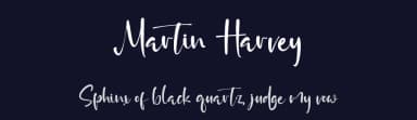 Martin Harvey by Vztype Studio — Script Handwritten Font — thumbnail 2