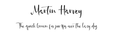 Martin Harvey by Vztype Studio — Script Handwritten Font — thumbnail 1