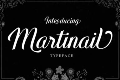 Martinail Font by Picatype Studio — Script Handwritten Font — thumbnail 1