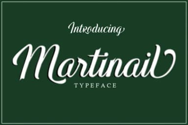 Martinail Font by Picatype Studio — Script Handwritten Font — thumbnail 2