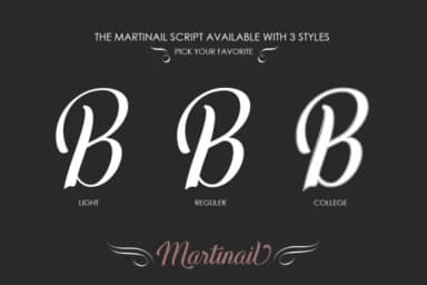 Martinail Font by Picatype Studio — Script Handwritten Font — thumbnail 8