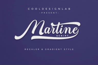 Martine Script Font by Cooldesignlab — Script Handwritten Font — thumbnail 1