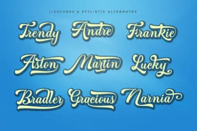 Martine Script Font by Cooldesignlab — Script Handwritten Font — thumbnail 3
