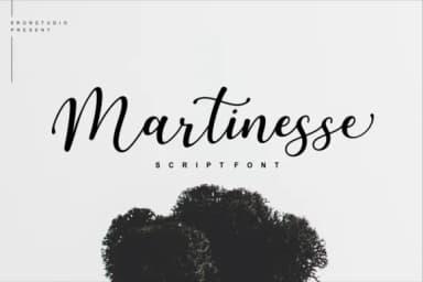Martinesse Script Font by Sronstudio — Script Handwritten Font — thumbnail 1