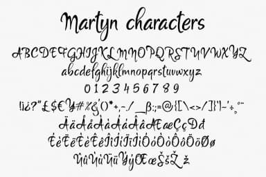 Martyn Font by Digital Typeface Studio — Script Handwritten Font — thumbnail 2