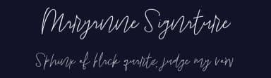 Maryanne Signature by Brittney Murphy Design — Script Handwritten Font — thumbnail 2