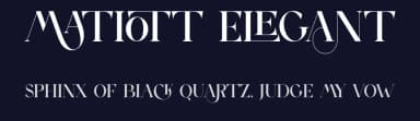 Matiott Elegant by 177Studio — Serif Font — thumbnail 2
