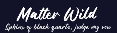 Matter Wild by FatmaStudio — Script Handwritten Font — thumbnail 2
