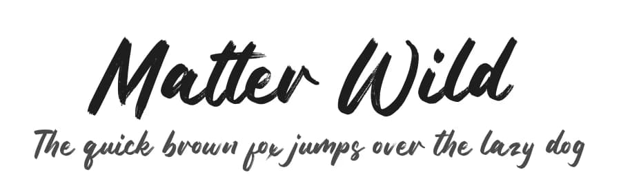 Matter Wild by FatmaStudio — Script Handwritten Font