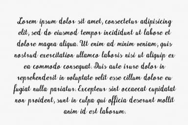 Maudlyn Font by Digital Typeface Studio — Script Handwritten Font — thumbnail 5