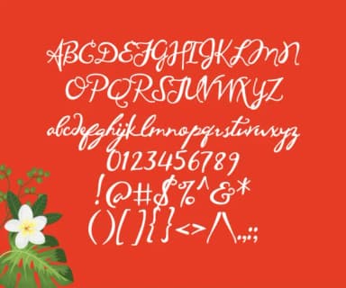 Maunaloa Font by Illustration Ink — Script Handwritten Font — thumbnail 2