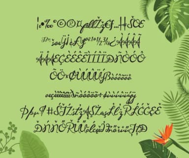 Maunaloa Font by Illustration Ink — Script Handwritten Font — thumbnail 3