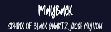 Mayback by Skiiller Studio — Script Handwritten Font — thumbnail 2