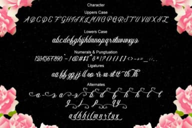 Maybeline Font by Bal Studio — Script Handwritten Font — thumbnail 6