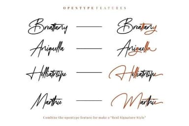 Mayestica Font by StringLabs — Script Handwritten Font — thumbnail 8