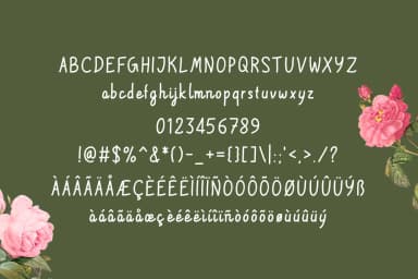 Meallina Font by Contour Fonts — Script Handwritten Font — thumbnail 7