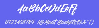 Meat Buckets by StereoType — Script Handwritten Font — thumbnail 3