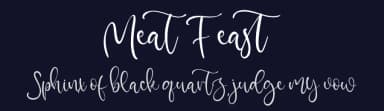 Meat Feast by Vztype Studio — Script Handwritten Font — thumbnail 2