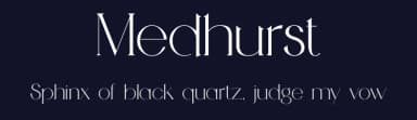 Medhurst by Pilaster Davy — Serif Font — thumbnail 2