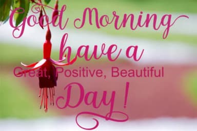 Medicago Font by Encolab — Script Handwritten Font — thumbnail 4