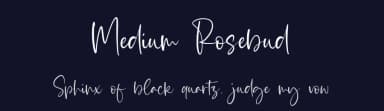 Medium Rosebud by Letterative Studio — Script Handwritten Font — thumbnail 2