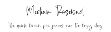 Medium Rosebud by Letterative Studio — Script Handwritten Font — thumbnail 1
