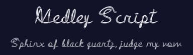 Medley Script by D. L. — Script Handwritten Font — thumbnail 2