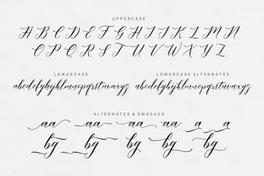Meetha Font by FadeLine — Script Handwritten Font — thumbnail 8