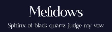 Mefidows by Letterena Studios — Serif Font — thumbnail 2