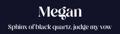 Megan by Sansakerta — Serif Font — thumbnail 2