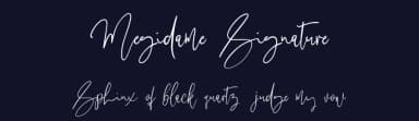 Megidame Signature by Tebaltipis Studio — Script Handwritten Font — thumbnail 2
