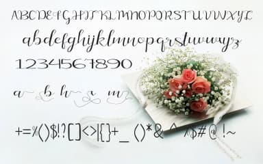 Meidina Font by maydhen studio — Script Handwritten Font — thumbnail 5