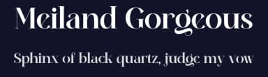 Meiland Gorgeous by Handpik — Serif Font — thumbnail 2