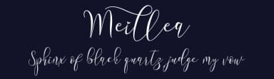 Meillea by Yoga Letter — Script Handwritten Font — thumbnail 2
