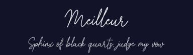 Meilleur by Heinzel Std — Script Handwritten Font — thumbnail 2