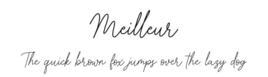 Meilleur by Heinzel Std — Script Handwritten Font — thumbnail 1