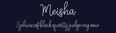 Meisha by Fanastudio — Script Handwritten Font — thumbnail 2