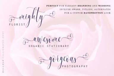 Melamar Font by aldedesign — Script Handwritten Font — thumbnail 6