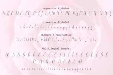 Melamar Font by aldedesign — Script Handwritten Font — thumbnail 8