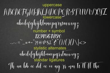 Melisca Font by Cooldesignlab — Script Handwritten Font — thumbnail 8