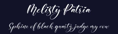 Melisty Patria by Perspectype Studio - Letterena.com — Script Handwritten Font — thumbnail 2