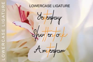 Mellanis Font by hidayart94 — Script Handwritten Font — thumbnail 3