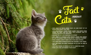 Mellifret Font by JavaPep — Script Handwritten Font — thumbnail 9