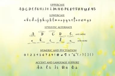 Mellisa Font by Haksen by Haksen — Script Handwritten Font — thumbnail 4