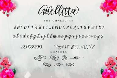 Mellitta Script Font by Bexx Type — Script Handwritten Font — thumbnail 2